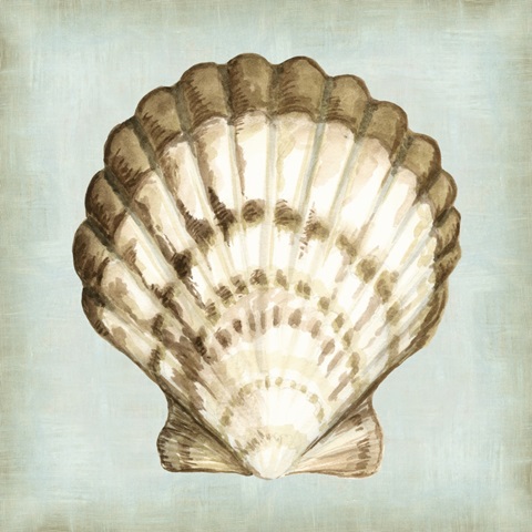 Sea Dream Shells III
