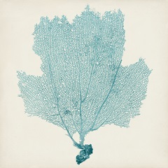 Sea Fan III