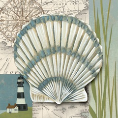 Seaside Shell II
