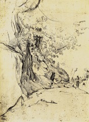Sepia Tree Study