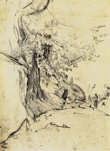 Sepia Tree Study