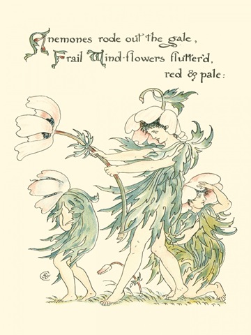 Shakespeare's Garden I (Anemone)