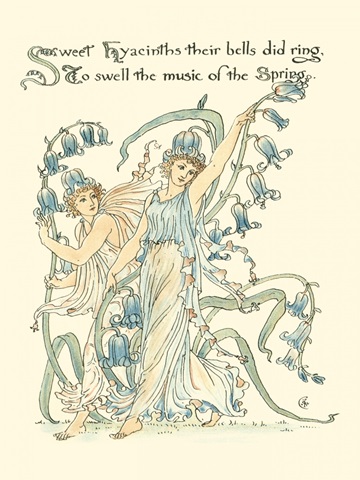 Shakespeare's Garden II (Hyacinth)