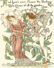 Shakespeare's Garden III (Rose)