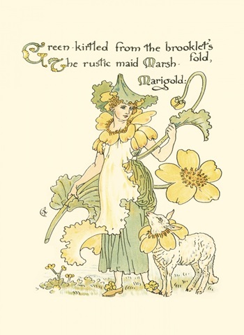 Shakespeare's Garden IX (Marigold)