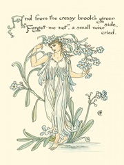 Shakespeare's Garden VII (Forget me not)
