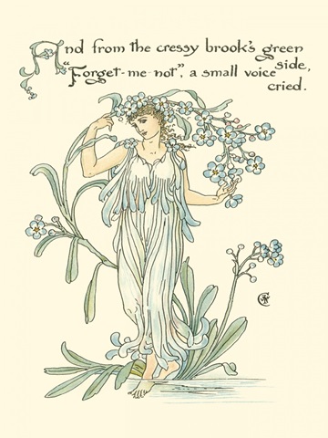 Shakespeare's Garden VII (Forget me not)