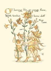 Shakespeare's Garden VIII (Lily)