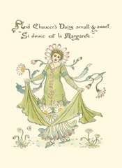 Shakespeare's Garden X (Daisy)