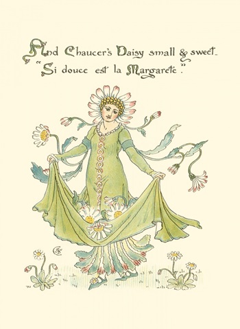 Shakespeare's Garden X (Daisy)