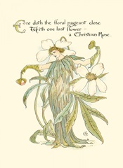 Shakespeare's Garden XII (Christmas Rose)