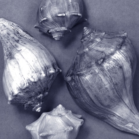 Shell Convergence III