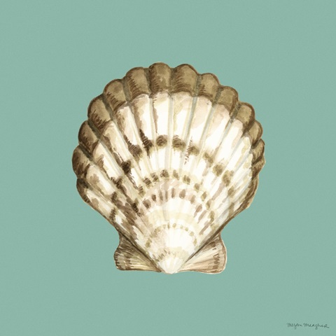 Shell on Aqua III