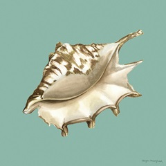 Shell on Aqua IV