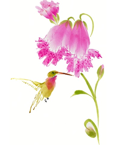 Sheltering Sweetness