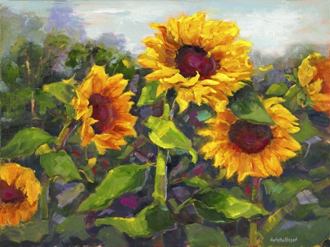 Sierra Awakenings IV