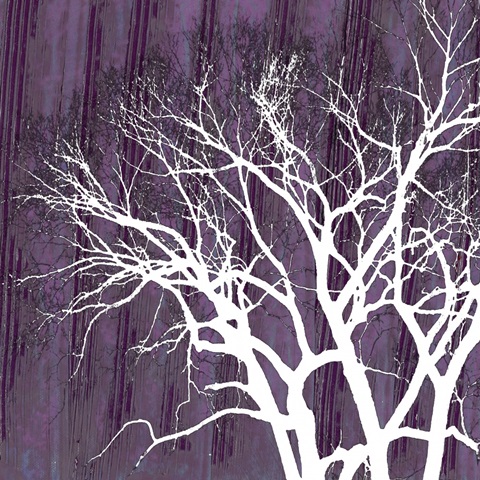 Small Aurora Silhouette I