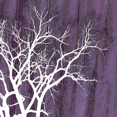 Small Aurora Silhouette II