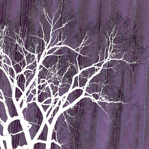 Small Aurora Silhouette II