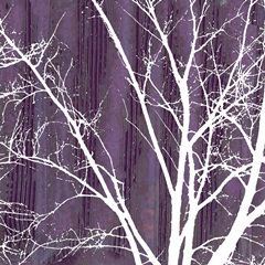 Small Aurora Silhouette III