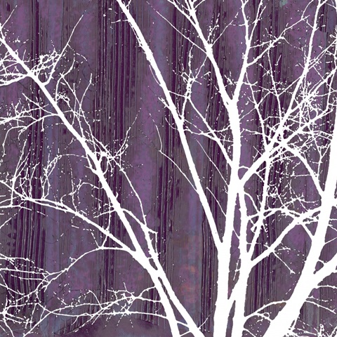 Small Aurora Silhouette III