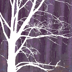 Small Aurora Silhouette IV