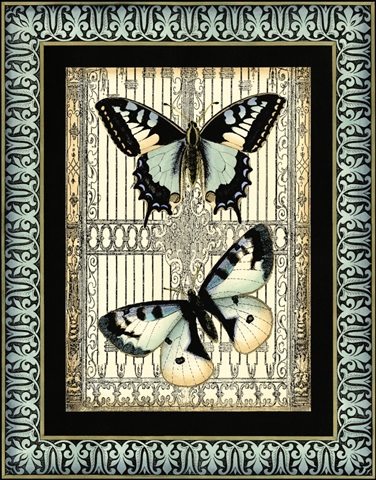 Small Butterfly Fancy II