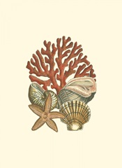 Small Coral Medley I