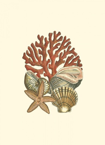 Small Coral Medley I