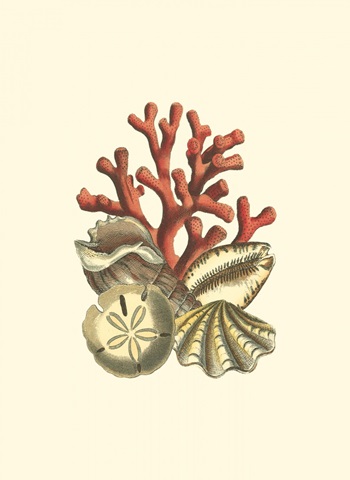 Small Coral Medley II