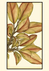 Small Gilded Leaves II