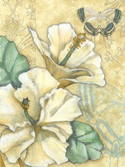 Small Hibiscus Medley II