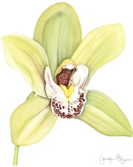 Small Orchid Beauty II