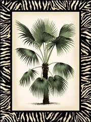 Small Palm in Zebra Border II