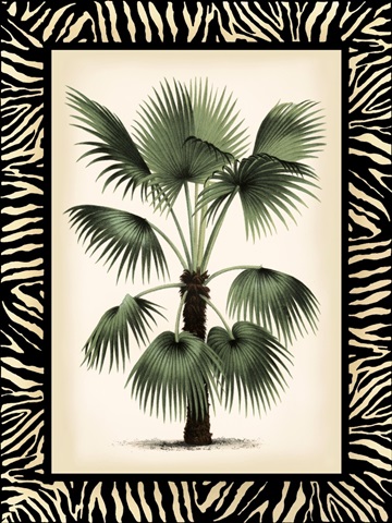 Small Palm in Zebra Border II