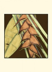 Small Striking Tropical IV