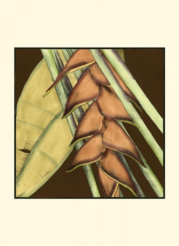 Small Striking Tropical IV