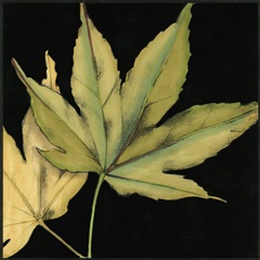 Small Tandem Leaves I