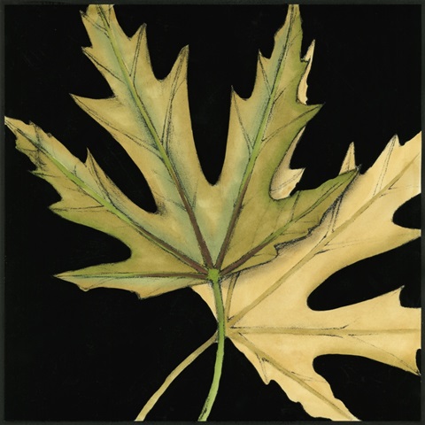 Small Tandem Leaves IV