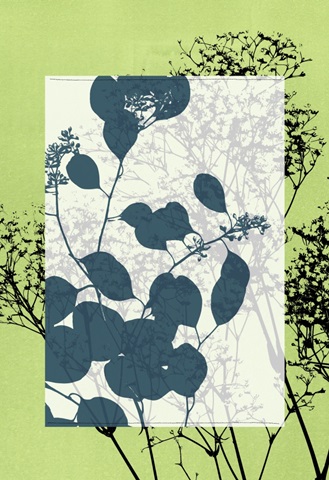 Small Translucent Wildflowers VII