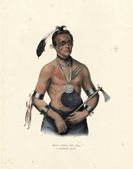 A Winnebago Chief