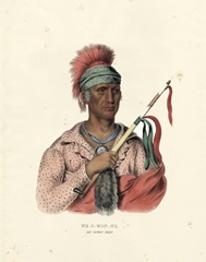 An Ioway Chief