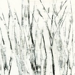 Birches I