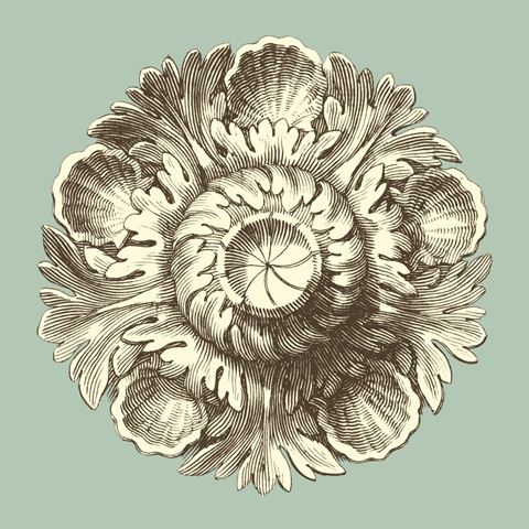 Celadon and Mocha Rosette III