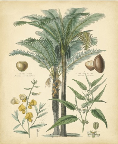 Fruitful Palm I