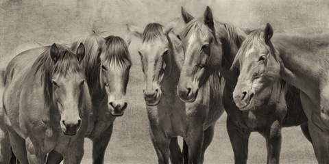 Meeting of the Minds