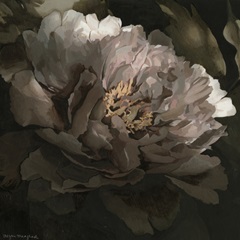 Moonlit Peony I