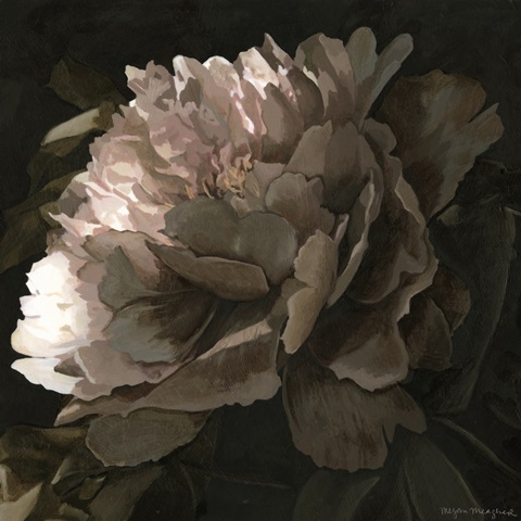 Moonlit Peony II