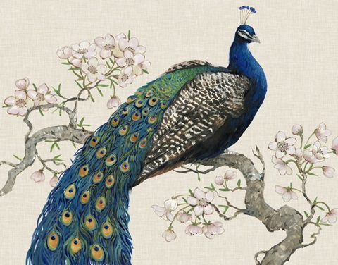 Peacock and Blossoms I