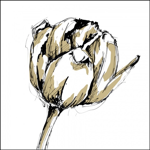 Small Tulip Sketch II